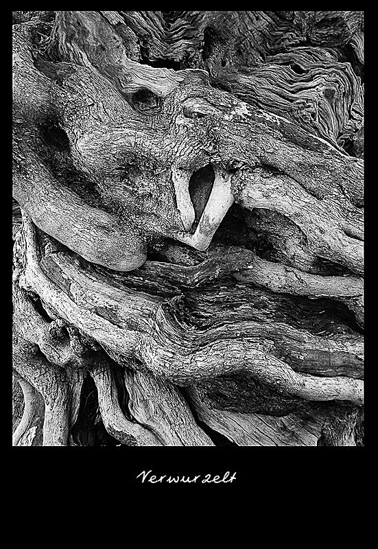 Monochrome